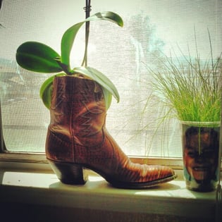 potting-alternatives-boot