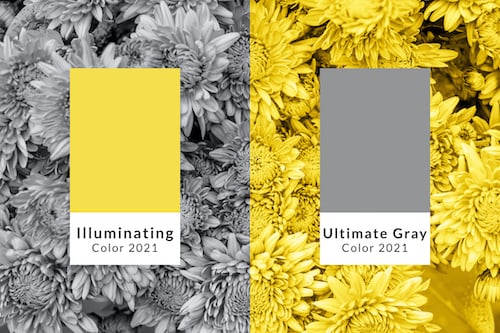 pantone-color-of-the-year-2021