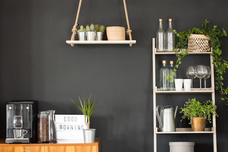 plant-lady-shelves