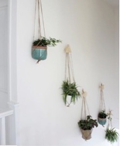 plants-wall-art.jpg