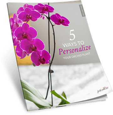 5 Ways Personalize