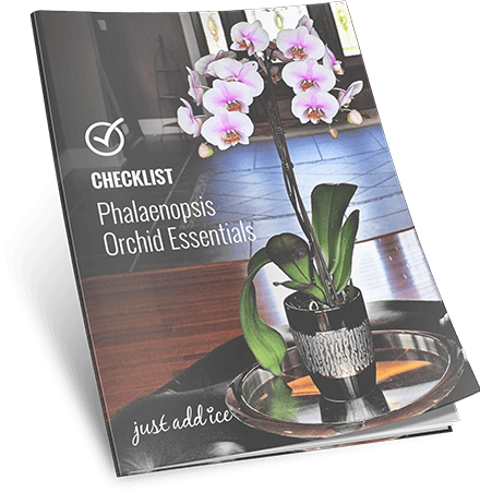 Checklist Phalaenopsis Orchid Essentials