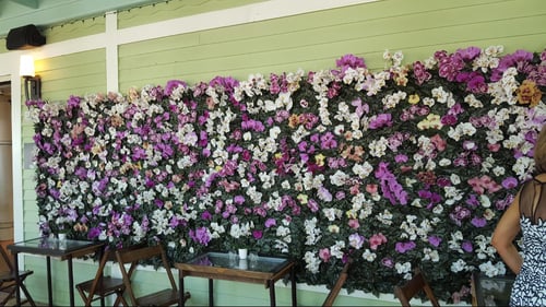 wedding orchid wall