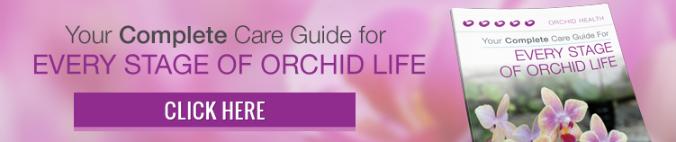 Complete Care Guide