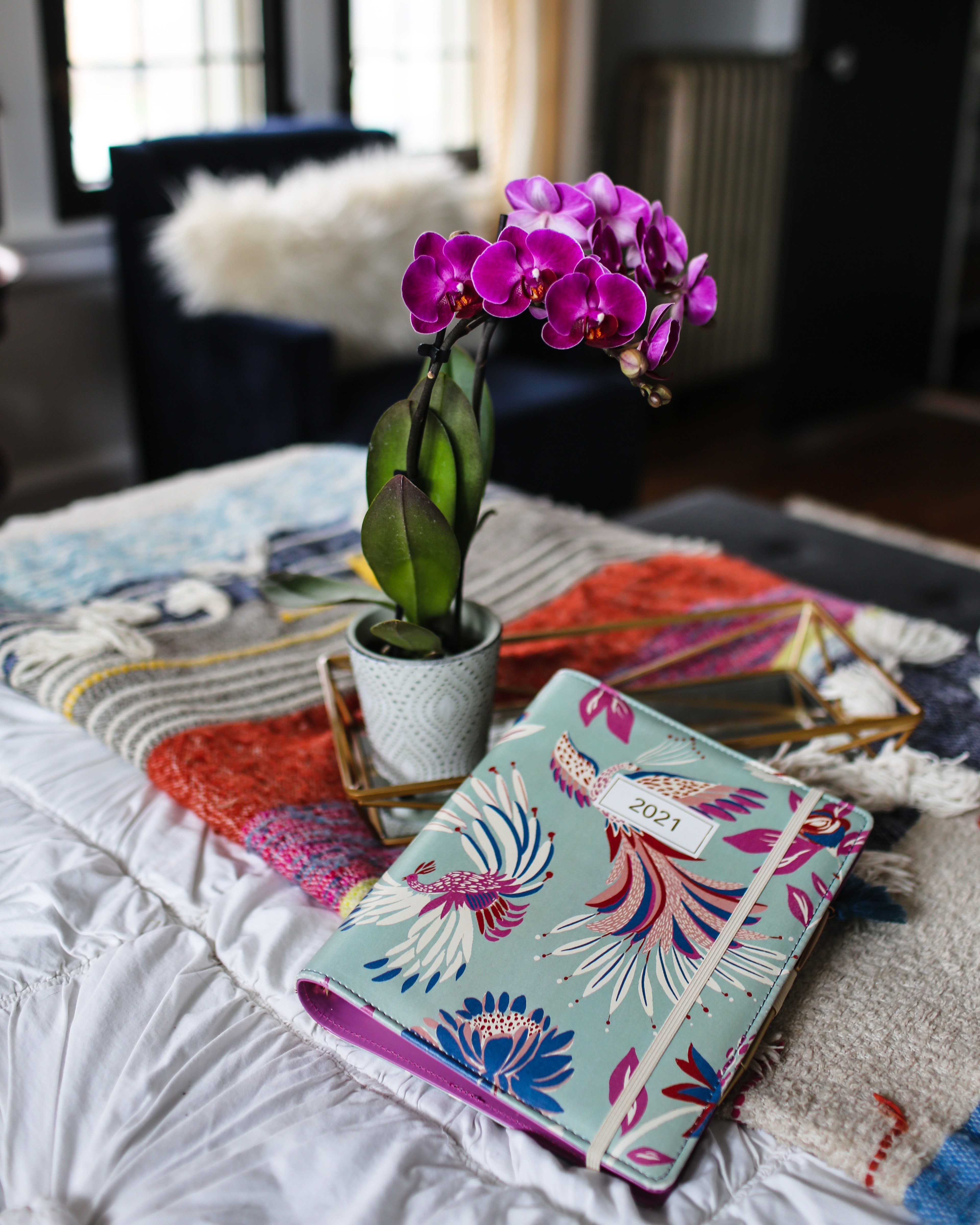 How Plants Help You Beat Winter Blues