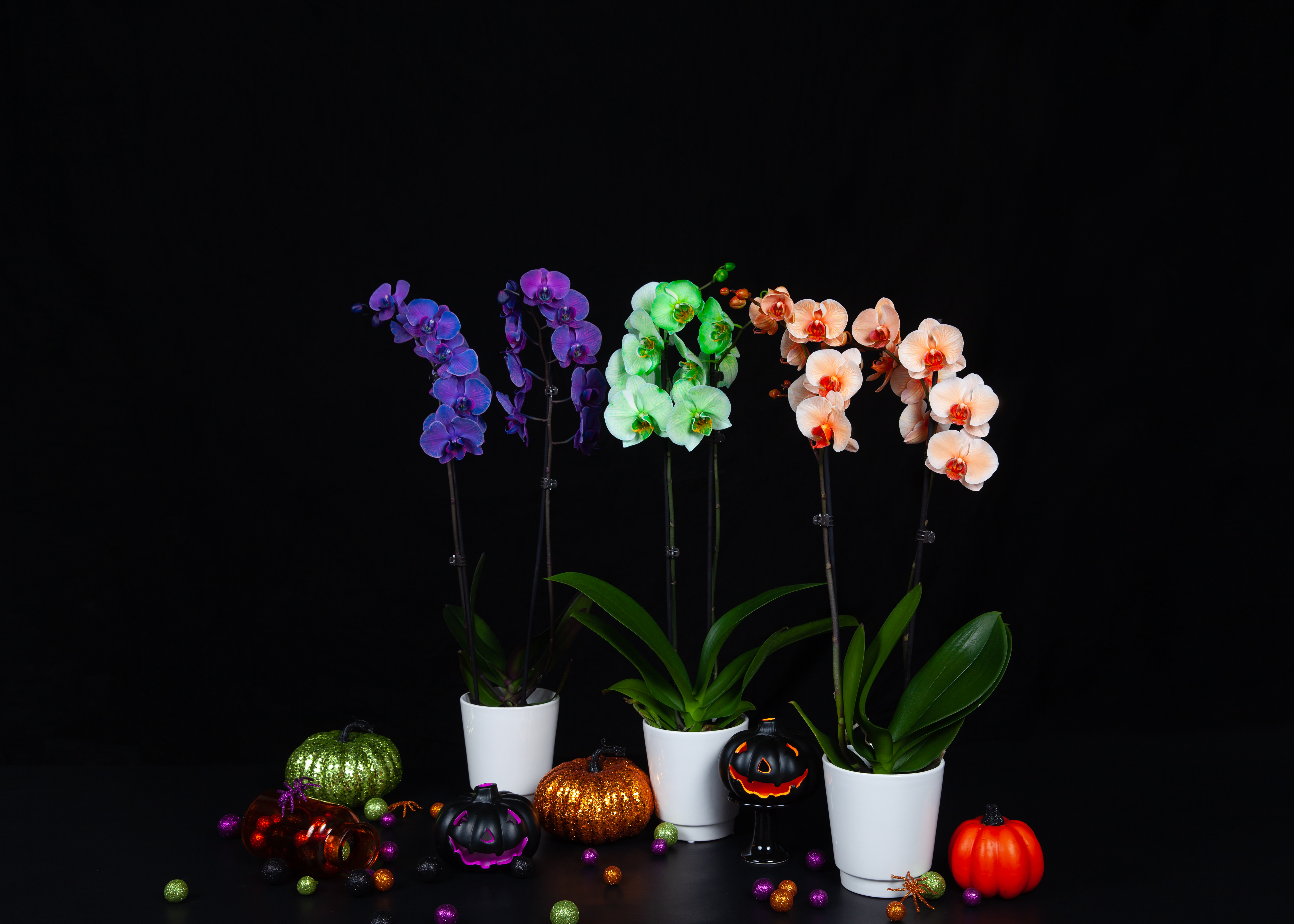 Watercolor-orchids-halloween