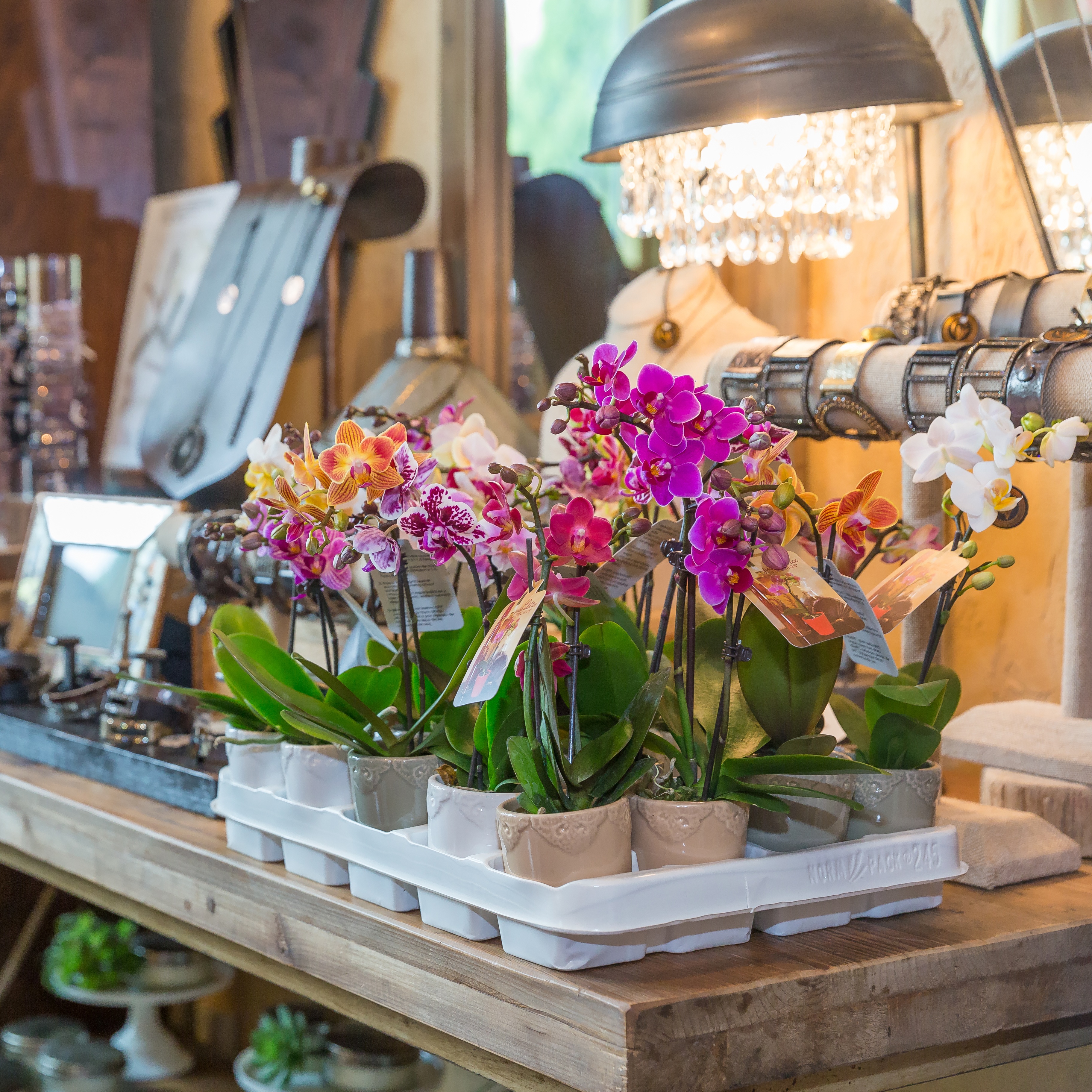 Choosing the Right Wholesale Floral Supplier