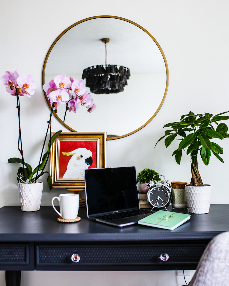 Why More People Are Loading Their Homes with Houseplants