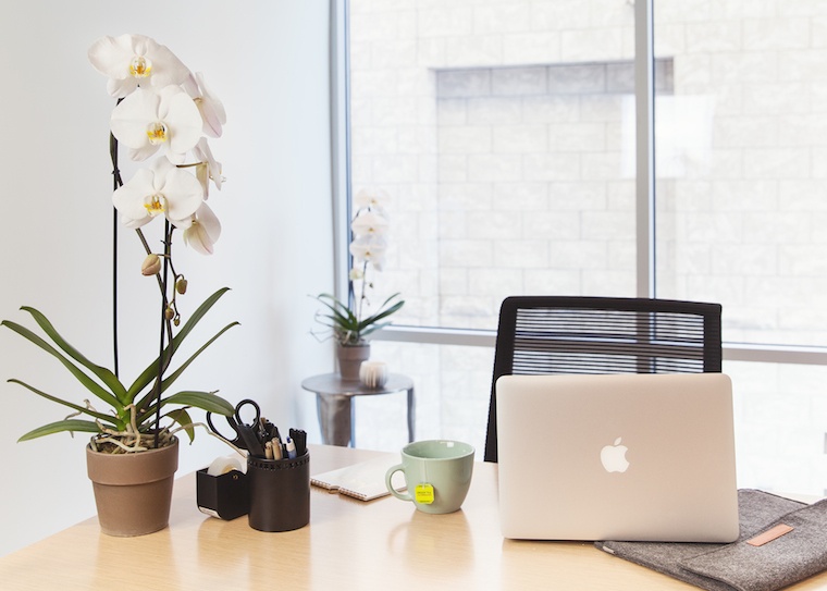 plants-in-workplace